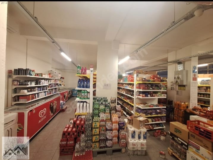 Çınar Gayrimenkul